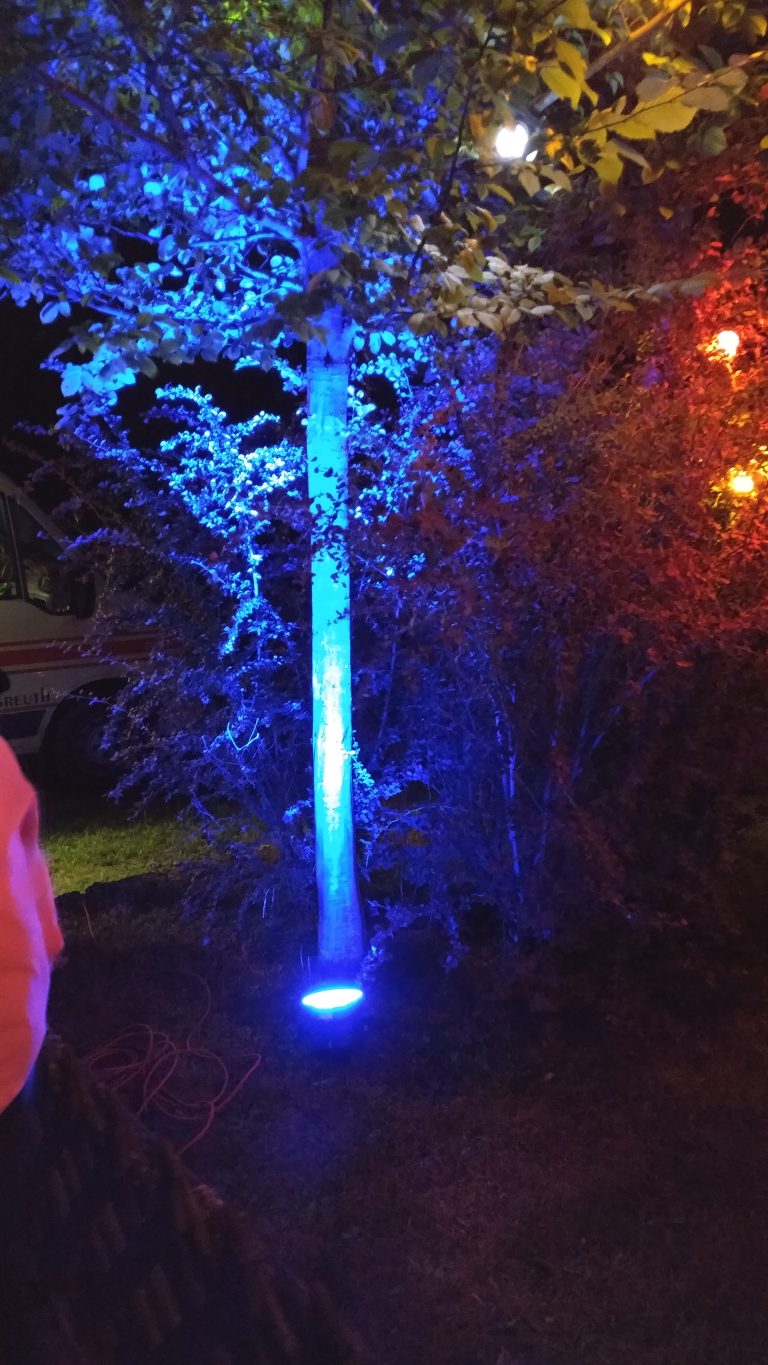 Blaue Außenbeleuchtung im Garten – BPM-Technik