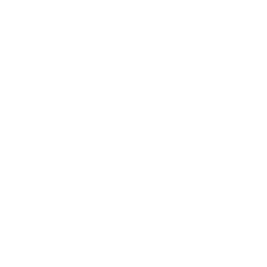Logo Stadt Tirschenreuth